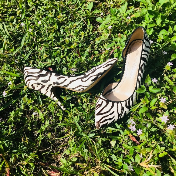 ⚡️DONATED 11/8⚡️ Zebra Pony Pumps 39 - Picture 2 of 8